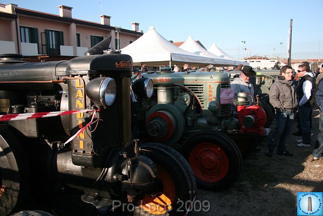 In prà della Antica Fiera di Arsego (25).JPG